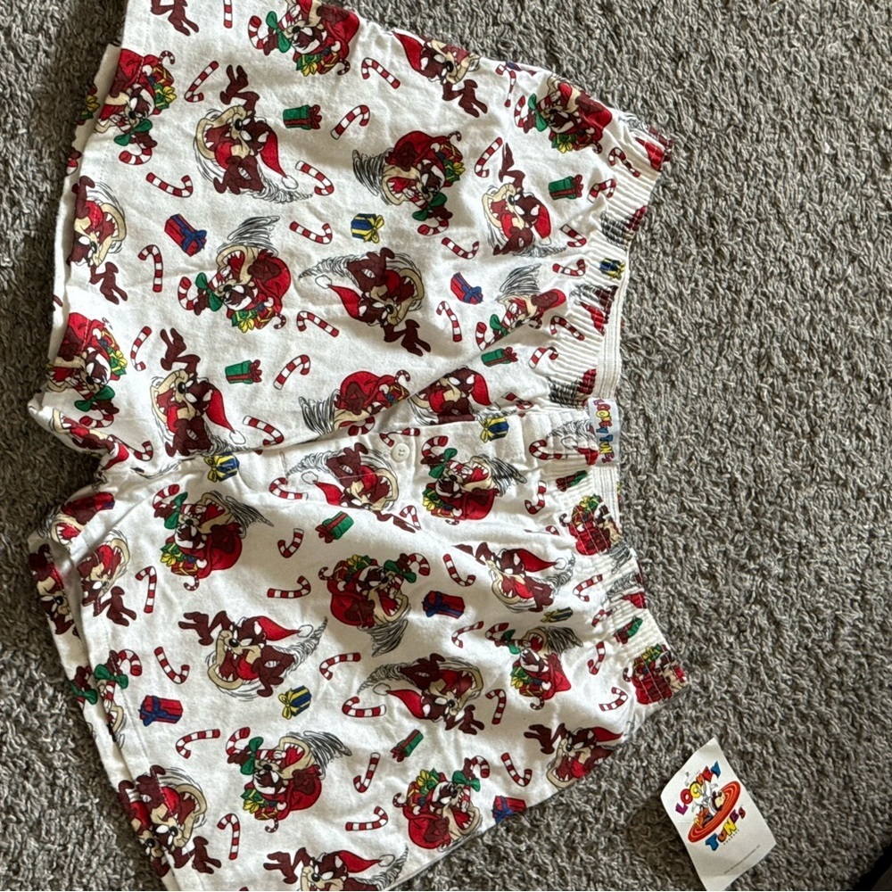Vintage 1998 Looney Tunes Tazmania Christmas Boxers Size XL